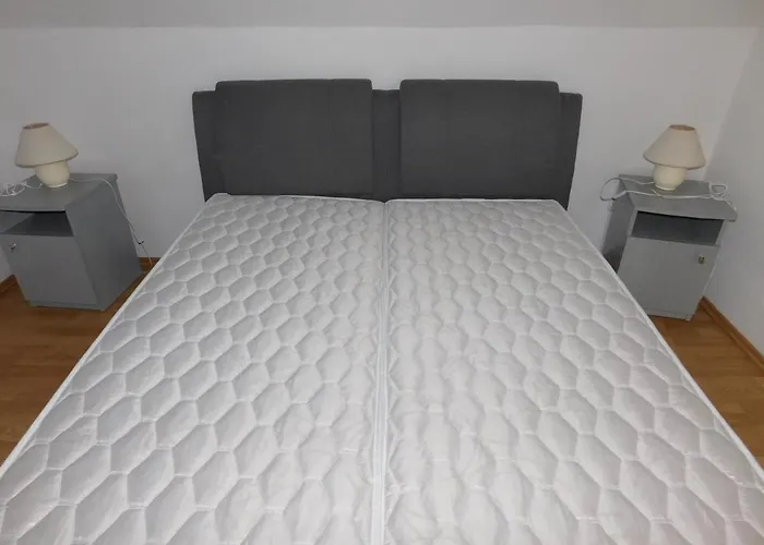 Akácfa Hortenzia * Zalakaros